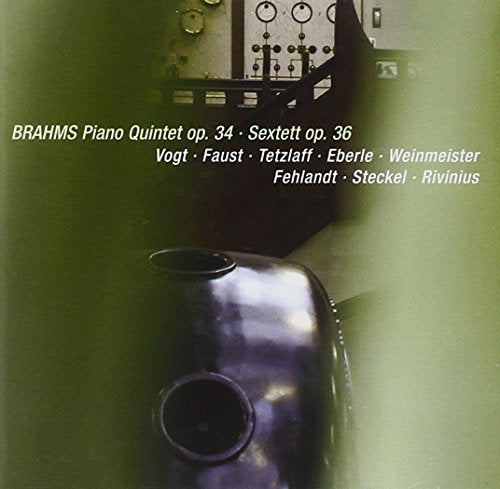 Various - Brahms: Piano Quintet op34, String Sextet op36 [CD]