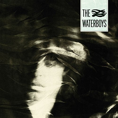"Vinyl record cover with 'The Waterboys' logo on a black and white background."