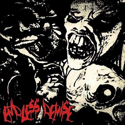 Endless Demise/ Podrido - Split [VINYL]