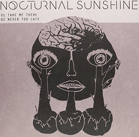 Nocturnal Sunshine - Take Me There [12"] [VINYL]