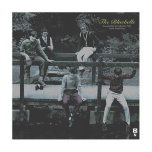 Bluebells The - Everybody's Somebody's Fool [7"] [VINYL]