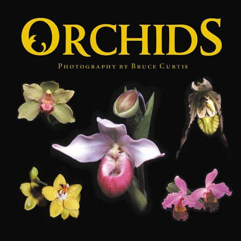 Orchids