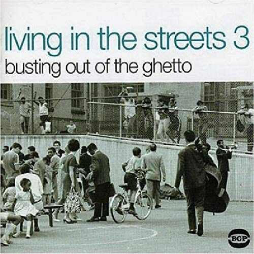 Various Artists - Living in the Streets Vol.3: Busting Out of the Ghetto [VINYL]