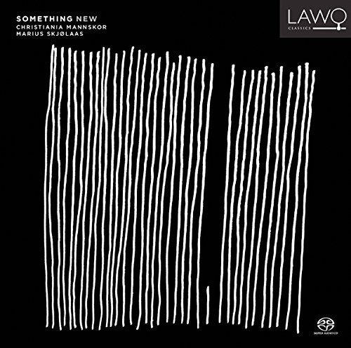 "Black album cover with white vertical lines and text 'Something New' and 'LAWQ'."