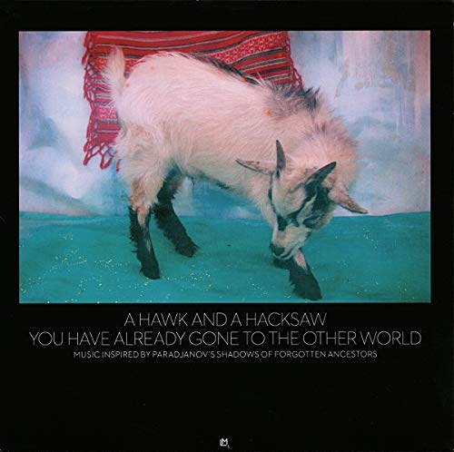 Various - You Have Already Gone To The Other World [VINYL]