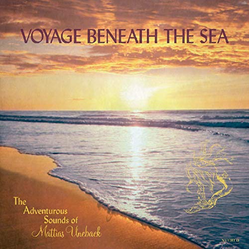 "Album cover with a serene beach at sunset, featuring the title and artist's name."