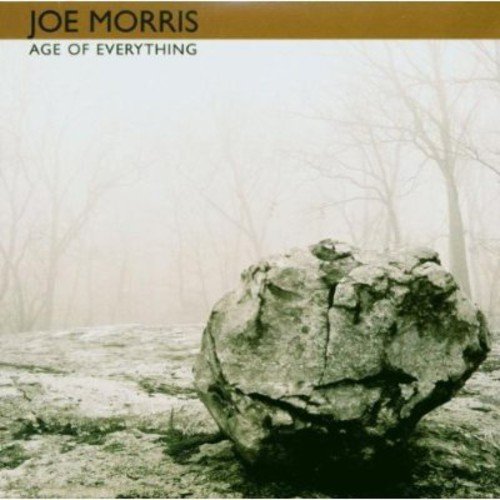 "CD album cover featuring a large rock in a foggy, barren landscape."