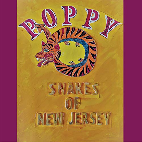 Various - Snakes Of New Jersey [VINYL]