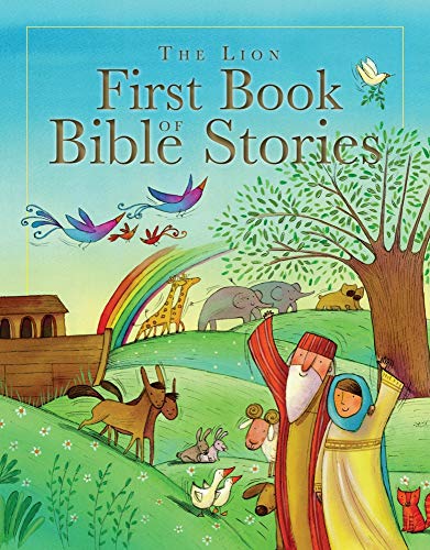"Children's book cover featuring Noah's Ark scene with rainbow, animals, and people."