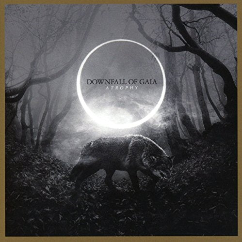 "Album cover featuring a black-and-white boar in a misty forest with a glowing circle."