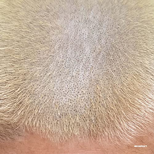 Barnt - ProMetal Fan Decor Only [VINYL]