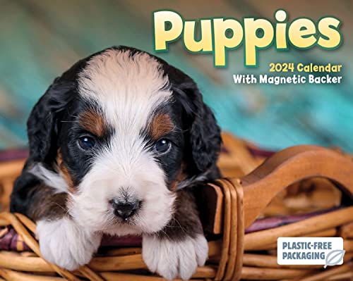 2024 Puppies Mini Box Calendar