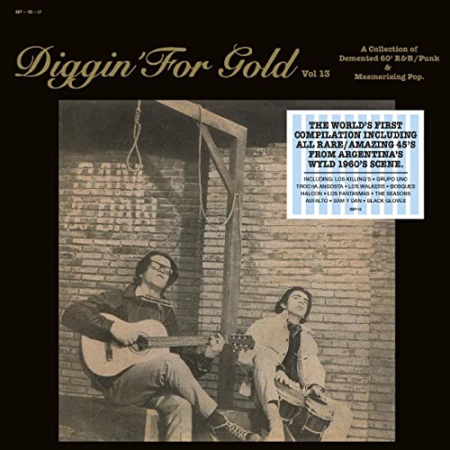Various Artists - Diggin' For Gold Vol. 13 [VINYL]