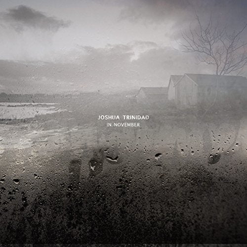 Joshua Trinidad - In November [CD]