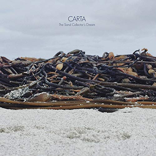 "Vinyl record cover featuring a pile of driftwood on a sandy beach."