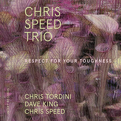 Album cover with purple plants and text "Chris Speed Trio - Respect For Your Toughness".