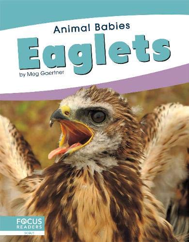 Eaglets (Animal Babies)