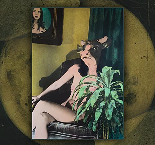 400 Lonely Things - Mother Moon [CD]