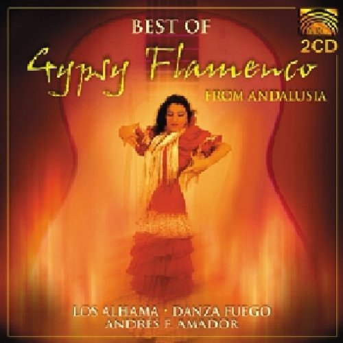 "CD cover featuring a flamenco dancer in a red dress, surrounded by guitar shapes."