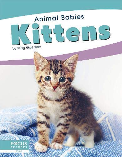 Kittens (Animal Babies)