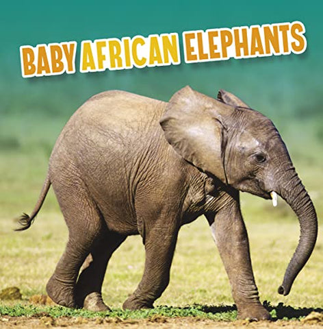 Baby African Elephants (Baby Animals)