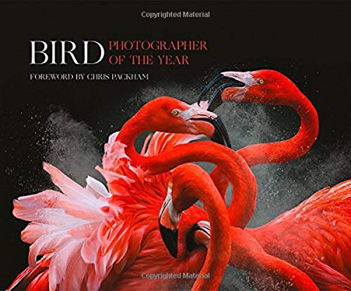 Bird Photographer of the Year: Collection 3