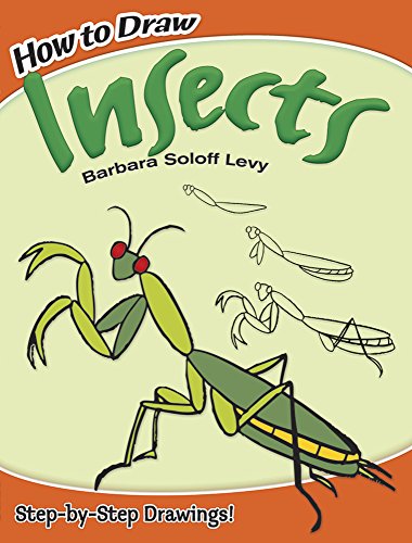 How to Draw Insects (Dover How to Draw)