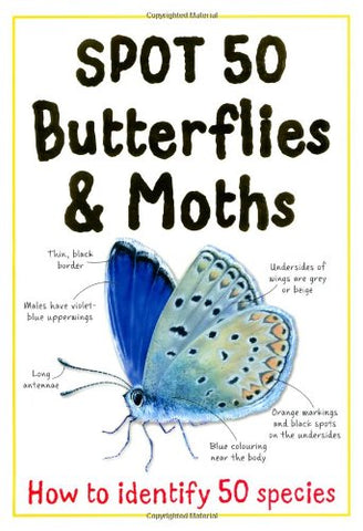 Spot 50 Butterflies and Moths (Large Spot 50 Series)