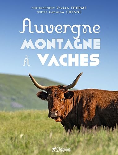 AUVERGNE MONTAGNE A VACHE