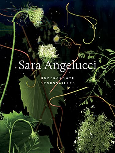 Sara Angelucci: Undergrowth / Brousailles