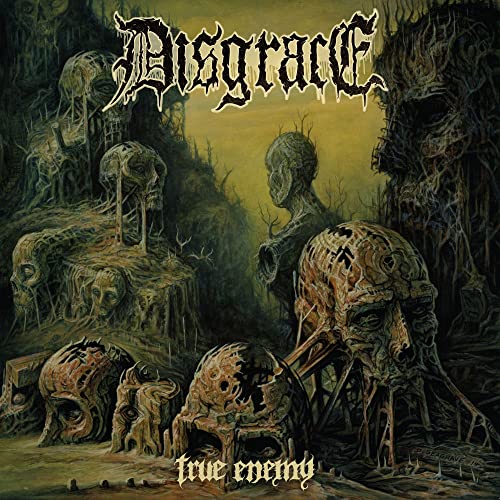 Disgrace - True Enemy [CD]