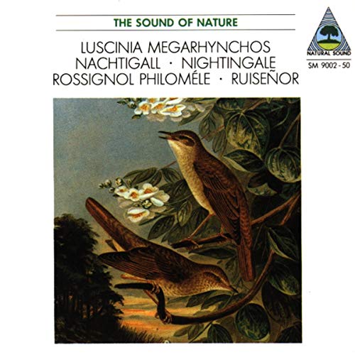 Tilgner - Nightingale [CD]