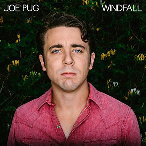 Pug Joe - Windfall  [VINYL]