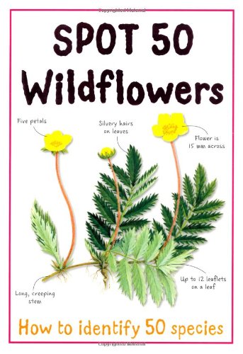 Spot 50 Wildflowers (Large Spot 50 Series)