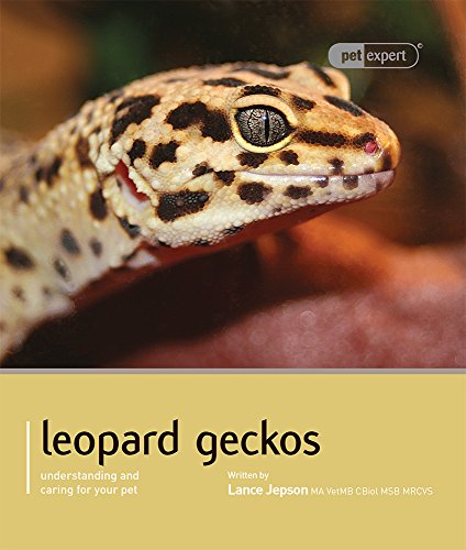 Leopard Gecko - Pet Expert: Understanding And Caring For Your Pet