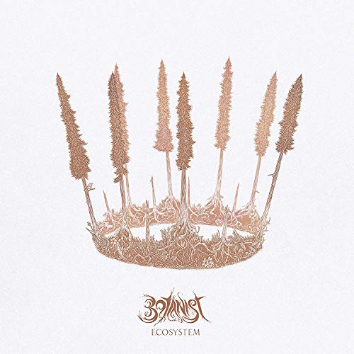 The image depicts a vinyl record cover featuring a stylized illustration of plants with intertwined roots.
