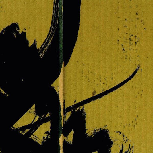 Bogdan Raczynski - Samurai Math Beats [VINYL]