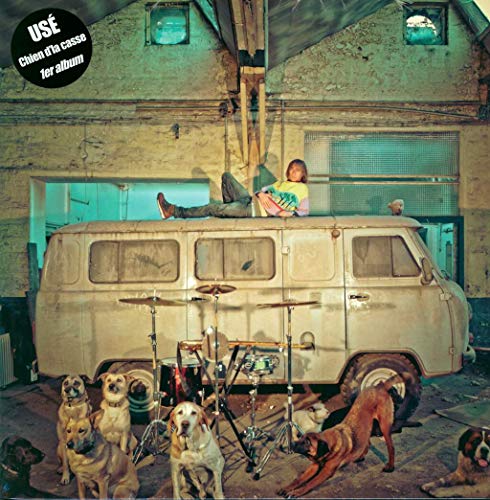 "Vinyl album cover: woman on a van surrounded by dogs in a garage."