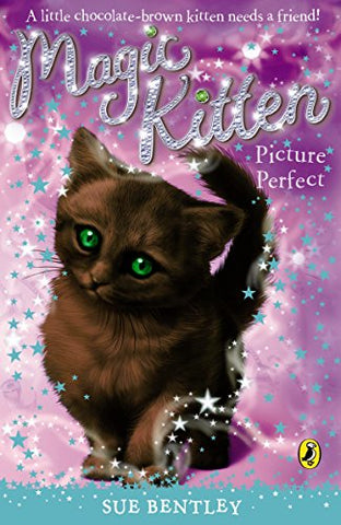 Magic Kitten: Picture Perfect (Magic Kitten, 14)