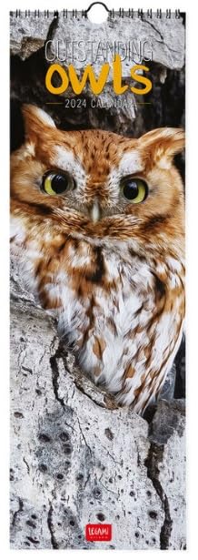 Legami - Wall Calendar 2024, 12 Months and Annual Planner 2025, Space for Notes and Notes, Number of the Week, Zodiac Signs and International Holidays, Single Cellophaning, 16x49cm
