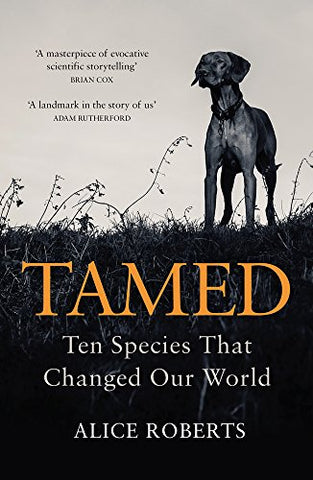 Dr. Alice Roberts - Tamed