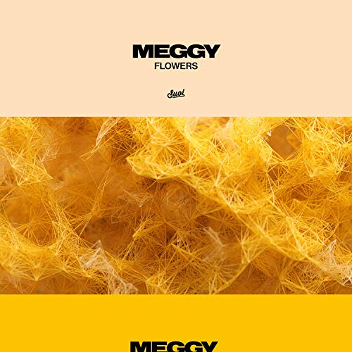The image is a vinyl record cover. Alt text: "Album cover with yellow fibers and 'Meggy Flowers' text on beige and yellow background."