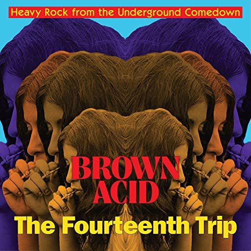 Various - Brown Acid: The Fourteenth Trip [VINYL]