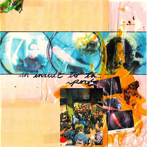 They Are Gutting A Body Of Wat - An Insult To The Sport (Blue-In-Purple Vinyl) [VINYL]