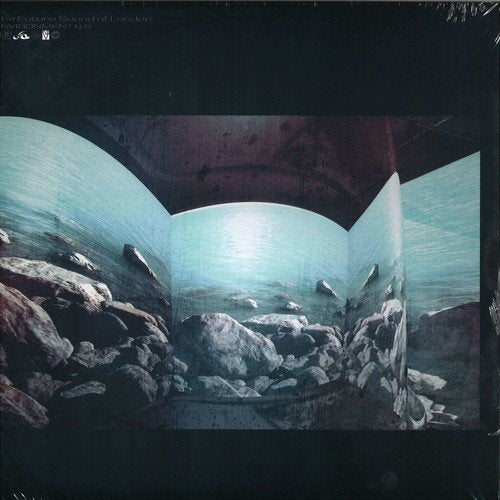 Future Sound Of Londonthe - Environment 6.5 [VINYL]