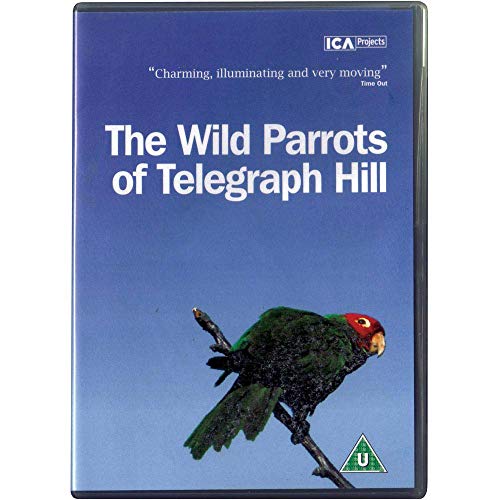 The Wild Parrots Of Telegraph Hill [DVD]