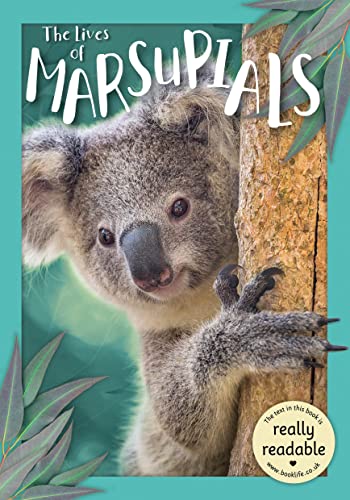 The Lives of Marsupials (BookLife Accessible Readers)