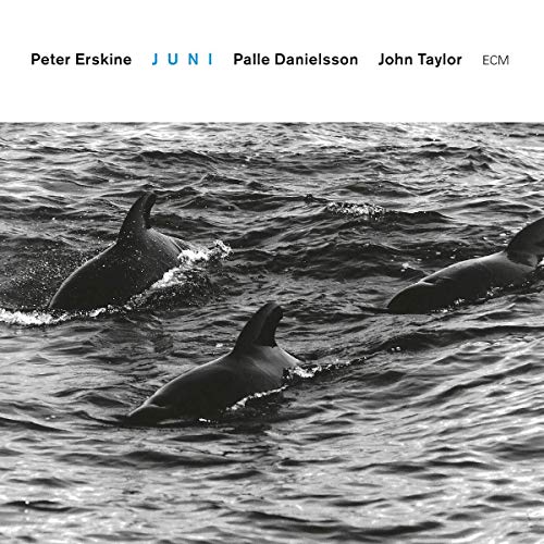 "Album cover with black-and-white image of three dolphins swimming in the water."