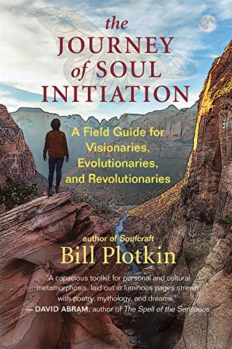 The Journey of Soul Initiation: A Field Guide for Visionaries, Revolutionaries, and Evolutionaries: A Field Guide for Visionaries, Evolutionaries, and Revolutionaries