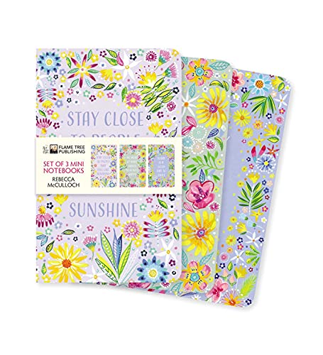 Rebecca McCulloch: Positivity Mini Notebook Collection (Mini Notebook Collections)
